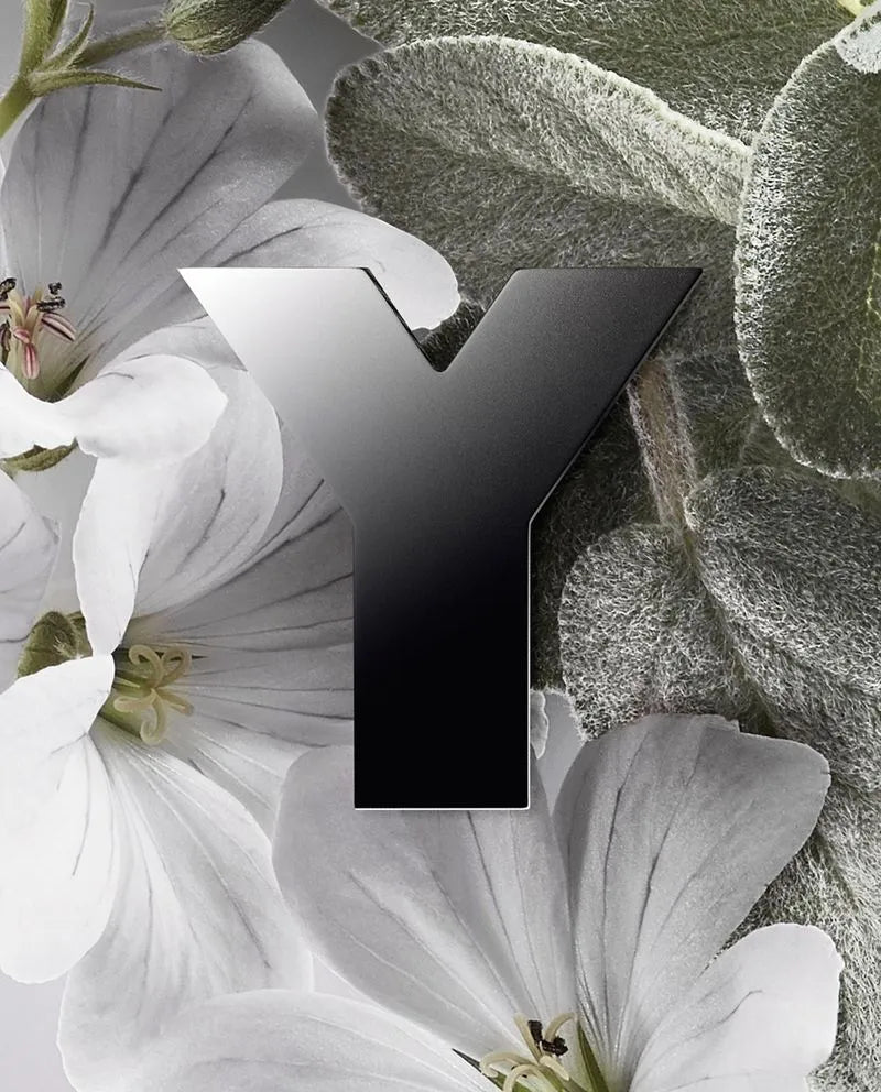 YVES SAINT LAURENT Y HOMME EAU DE PARFUM SP 100ML