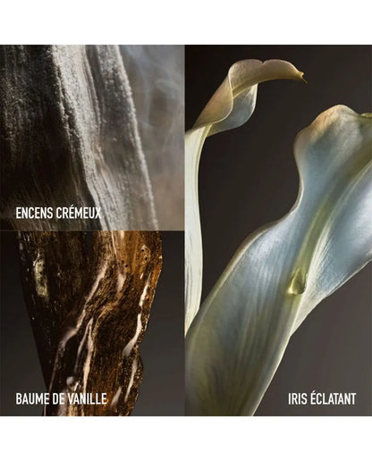 PACO RABANNE FAME THE COUTURE EDICIÓN LIMITADA EDP 80ML